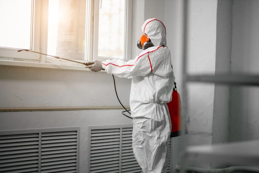 Professional mold remediation services in Haskell, OK